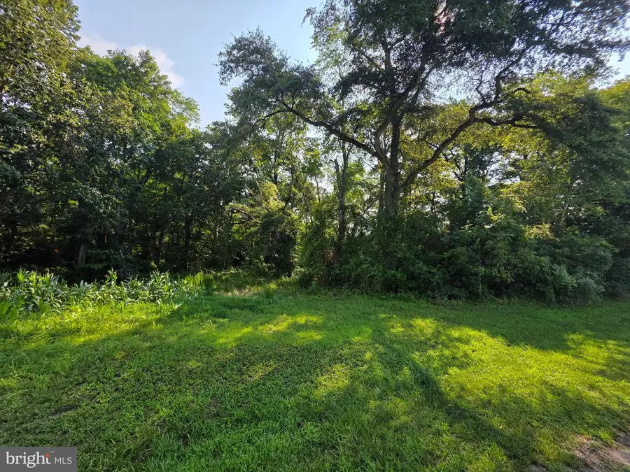 Tbd Lot B Phillips Rd, Selbyville, DE 19975 - #3