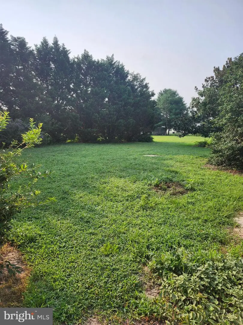 11472 Abbys Way, Bridgeville, DE 19933 - #2