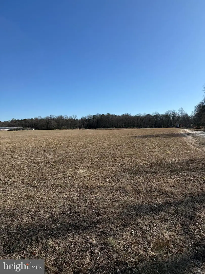 12393-lot # 4 Taylor Mill Road, Laurel, DE 19956 - #1
