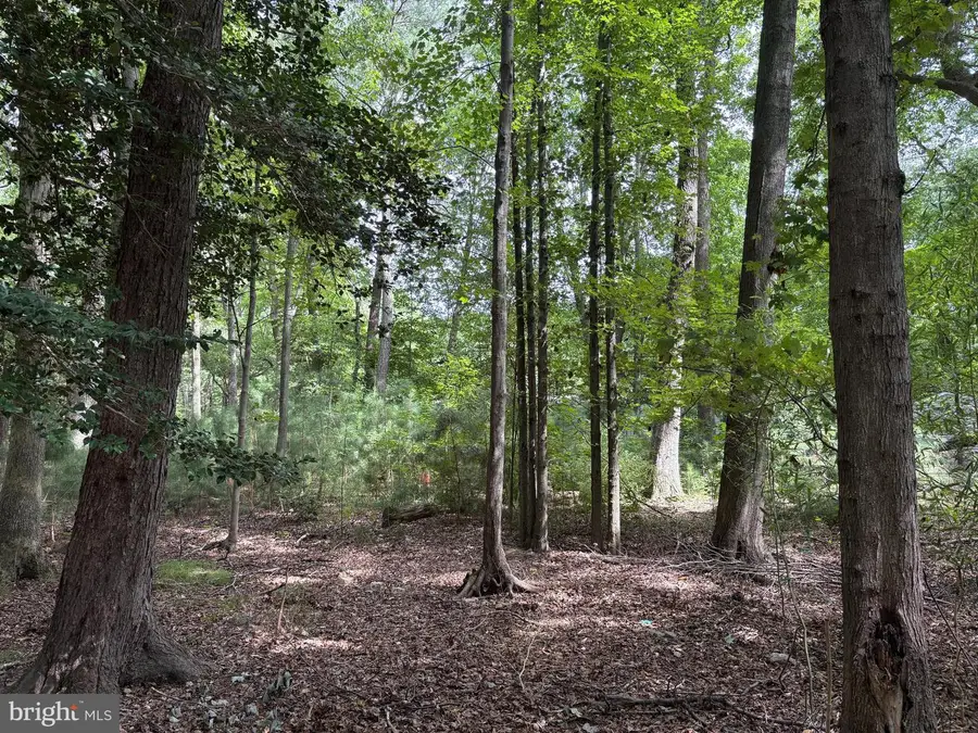 0 Shady Dell Park, Selbyville Frankford, DE 19970 - #2