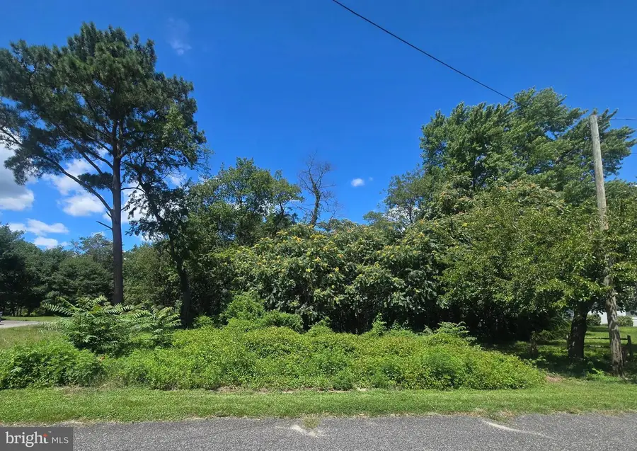 9071 Riverside Dr, Seaford, DE 19973 - #2