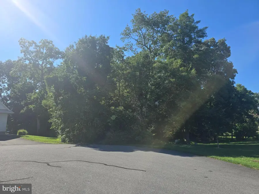 Sawtooth #lot 40, Dagsboro, DE 19939 - #2