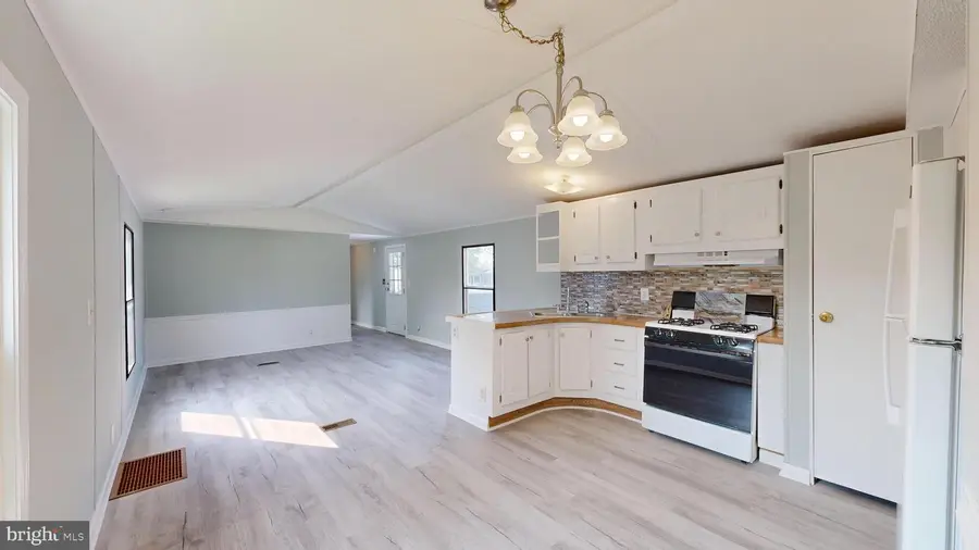 26043 Seagull Ln, Millsboro, DE 19966 - #3