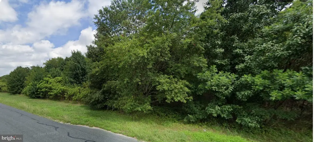 31523 Mount Pleasant Rd, Laurel, DE 19956 - #1