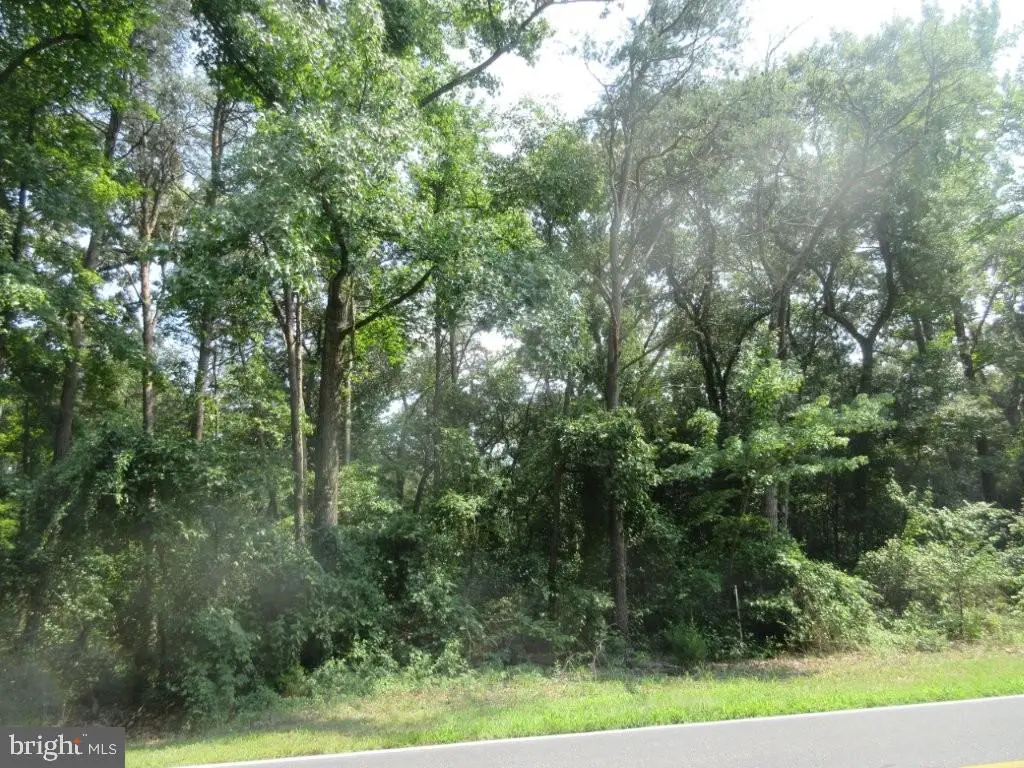 Lot 3 River Rd, Seaford, DE 19973 - #1