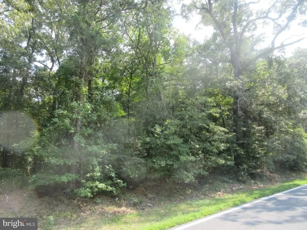 Lot 4 River Rd, Seaford, DE 19973 - #1