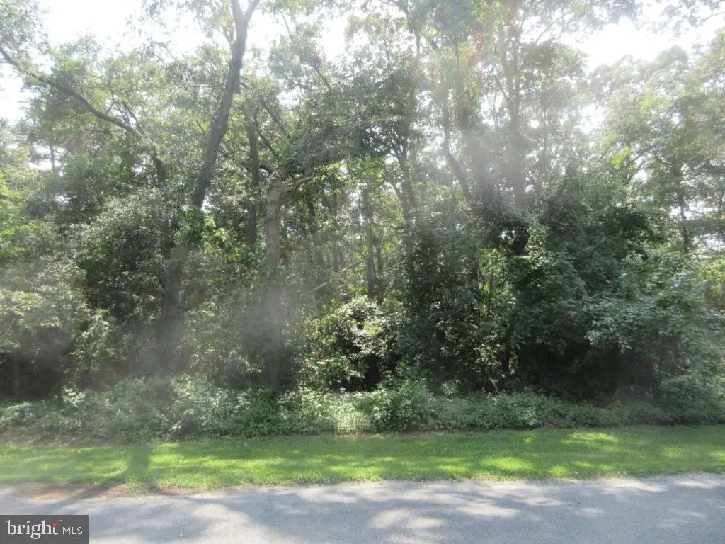 Parcel 75.00 Armiger Dr, Seaford, DE 19973 - #1