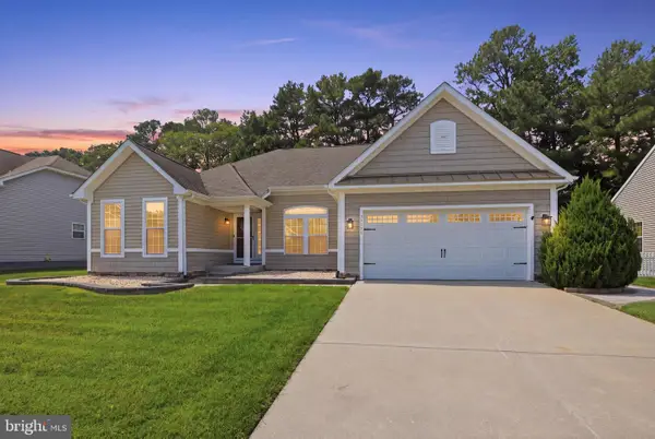 33596 Herring View Dr, LEWES, DE 19958