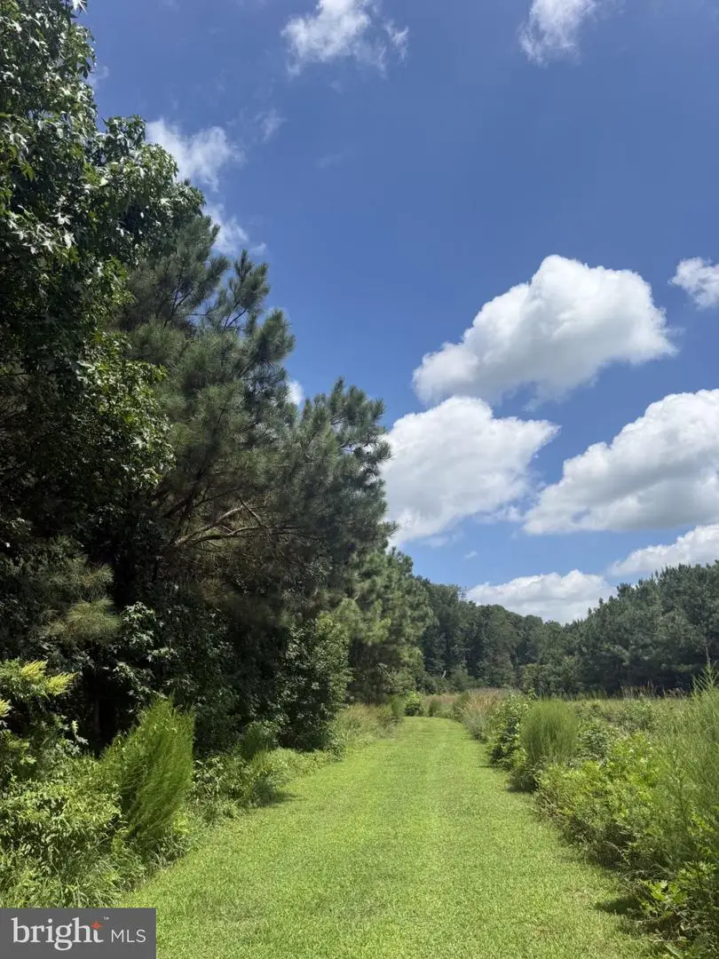 24540 Shortly Rd, Georgetown, DE 19947 - #3