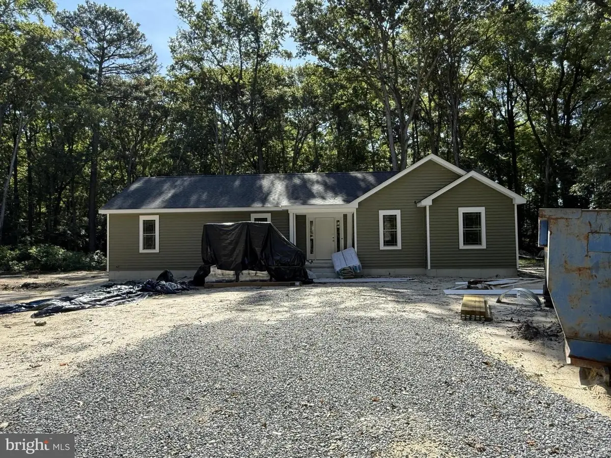 18596 Pine Cone Dr, Bridgeville, DE 19933 - #1