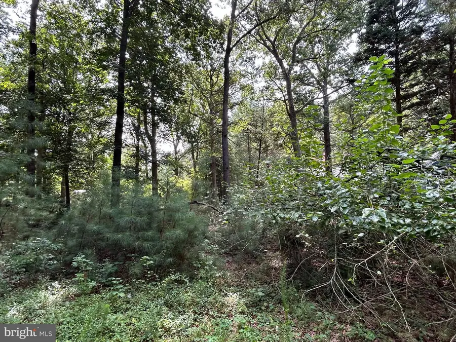 34179 Split Rail Ln, Frankford, DE 19945 - #2