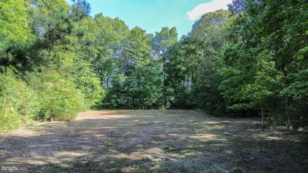28923 Poplar Grove Dr, MILTON, DE 19968