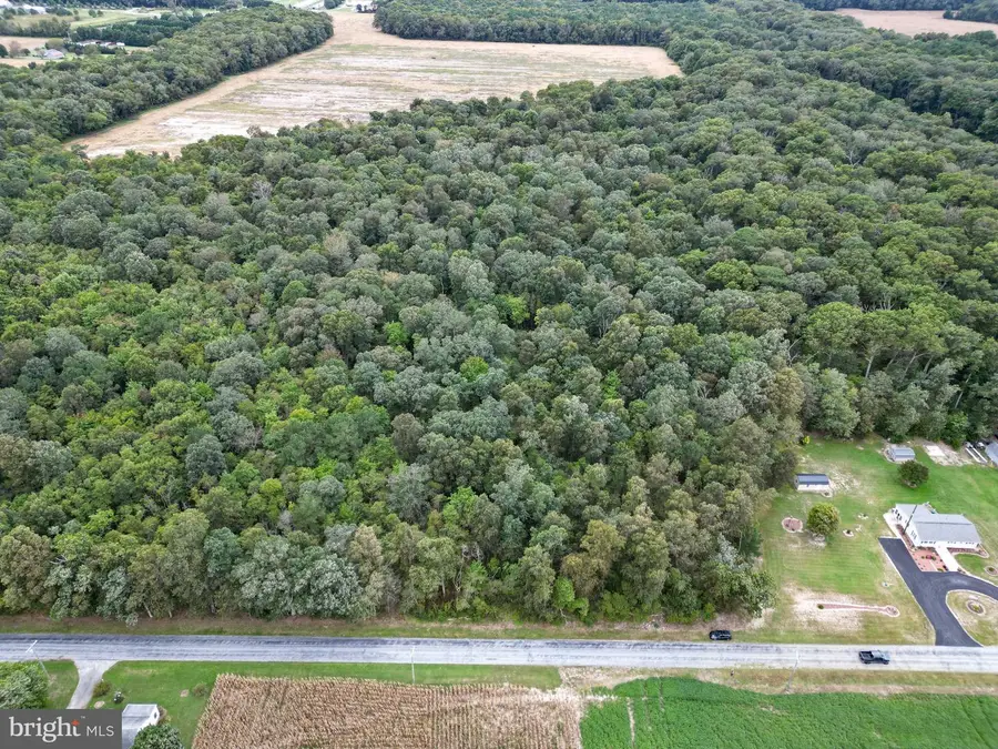 Adams Rd W #lot 1, Dagsboro, DE 19939 - #2