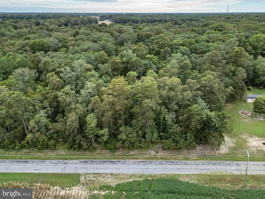 Adams Rd W #lot 1, Dagsboro, DE 19939 - #3