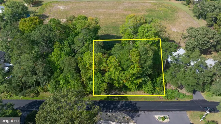 123 Pebble Dr #12, Dagsboro, DE 19939 - #2