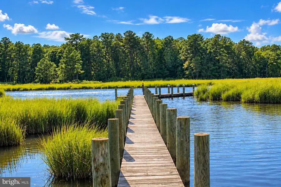 4 Mallard Dr, Dagsboro, DE 19939 - #2