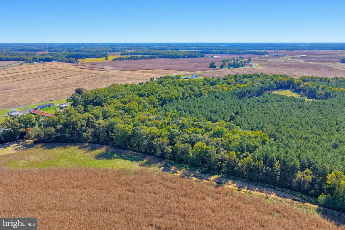Lot #1 Dupont Blvd, Frankford, DE 19945 - #1