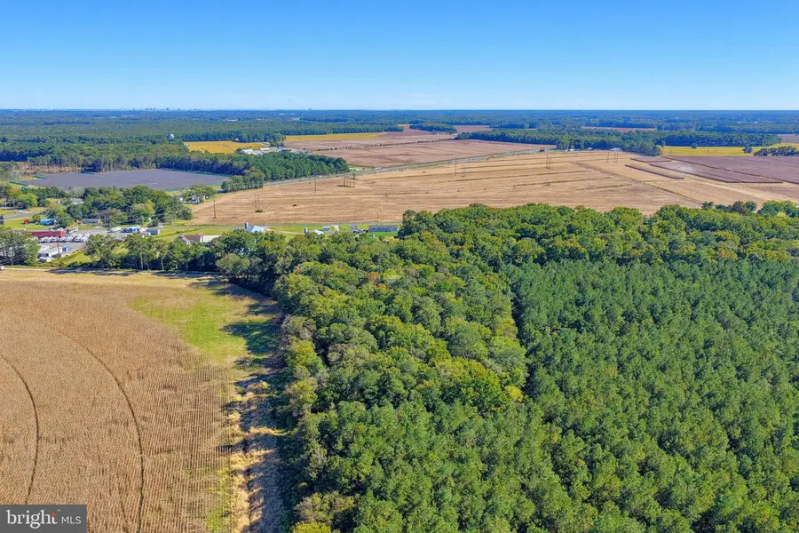 Lot #1 Dupont Blvd, Frankford, DE 19945 - #3
