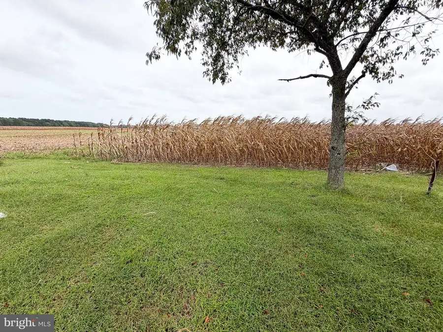 24363 Hollyville Rd, Millsboro, DE 19966 - #3