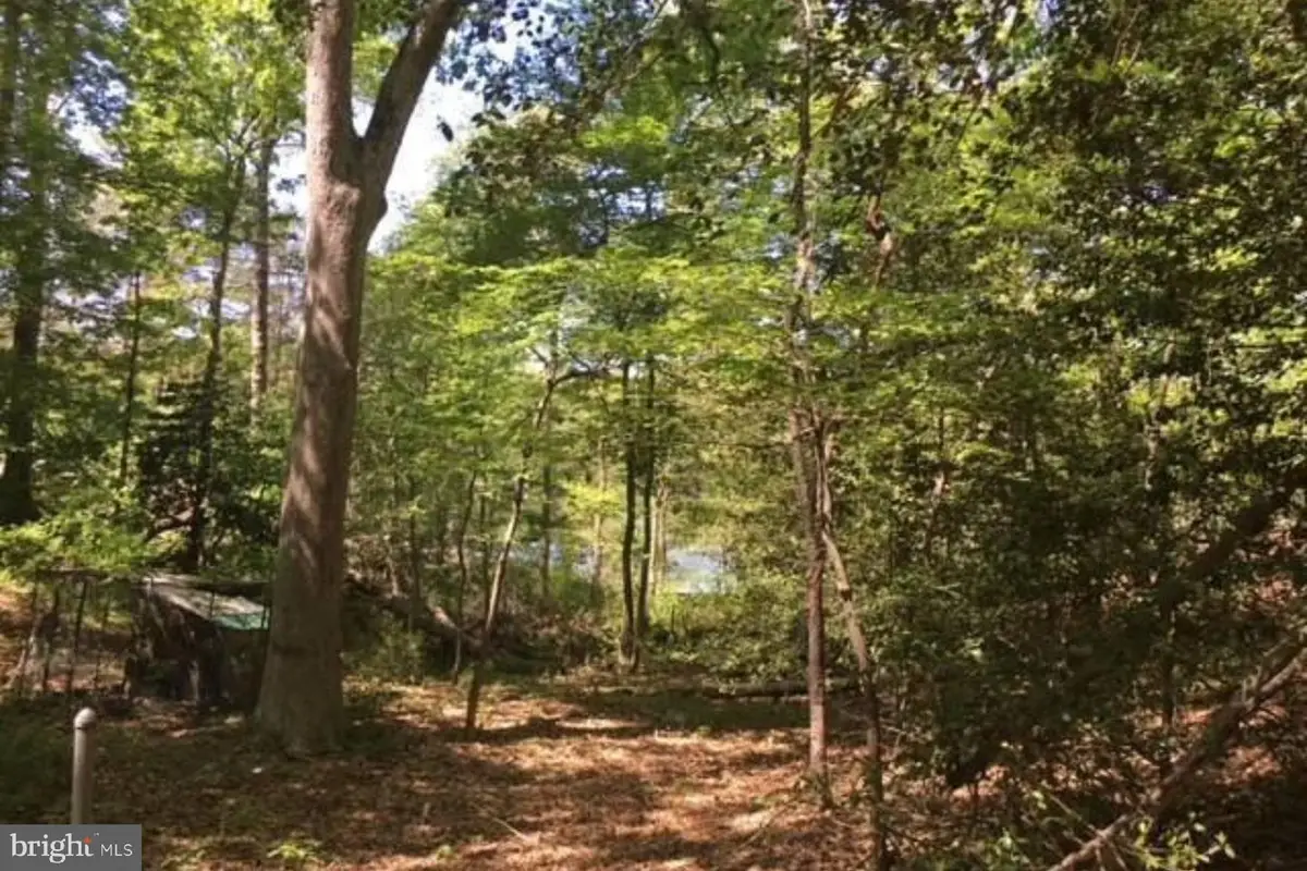 7 Gene Ave, Pasadena, MD 21122 - Image #1