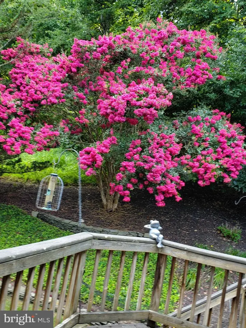 3227 Homewood Rd, Davidsonville, MD 21035 - #3