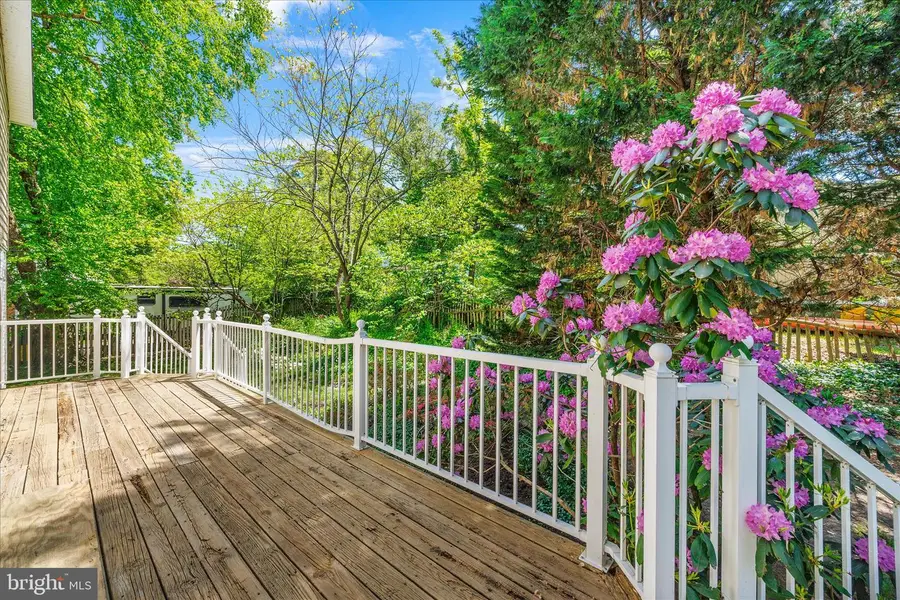 317 White Plains Ct, Severna Park, MD 21146 - #3