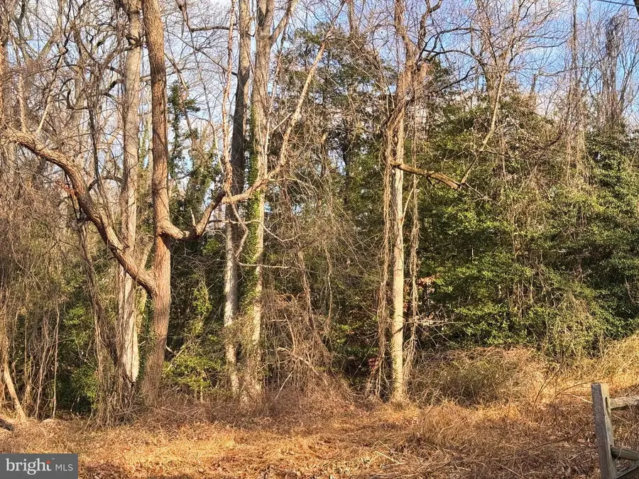 Lots 9-12 Cedar Trl, Crownsville, MD 21032 - #3