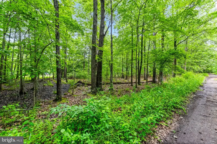 1430 Haile Pkwy, Shady Side, MD 20764 - #2