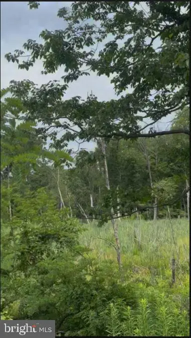 Baltimore Annapolis Blvd, Severna Park, MD 21146 - #1