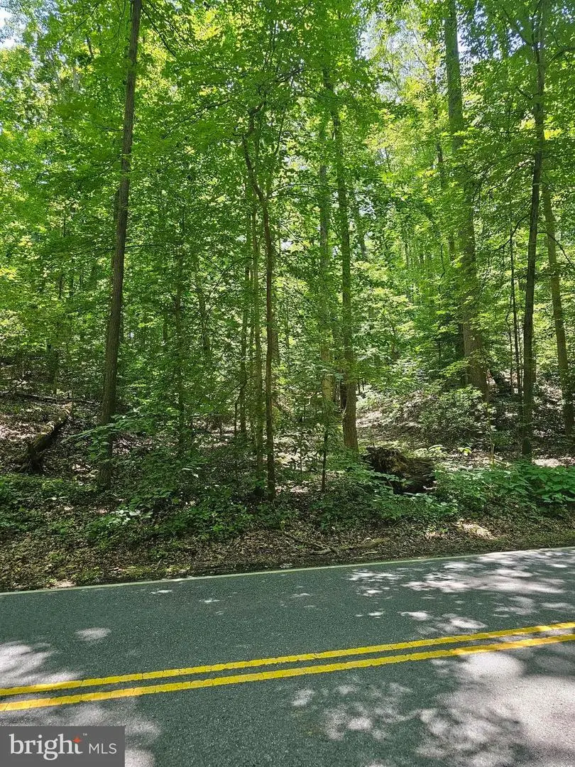 Herald Harbor Rd, Crownsville, MD 21032 - #3