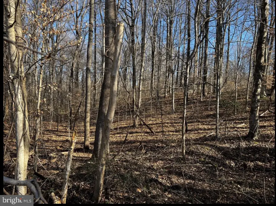 6299 Mckendree Rd, Dunkirk, MD 20754 - #3
