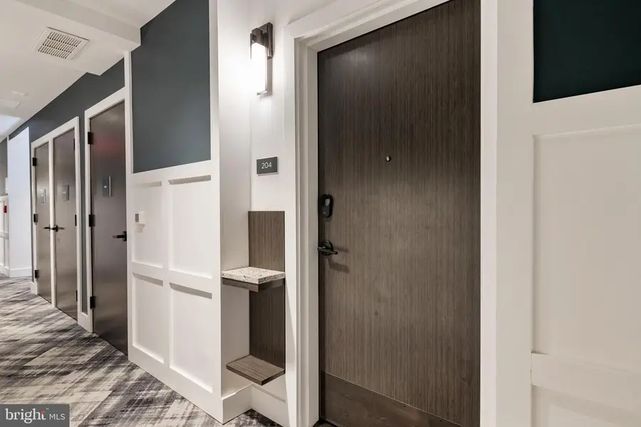 141 West St #204, Annapolis, MD 21401 - #3