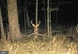 Patuxent Riv, LAUREL, MD 20724