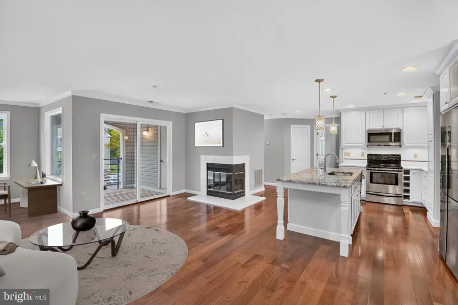 20 Greystone Ct #e, Annapolis, MD 21403 - #2