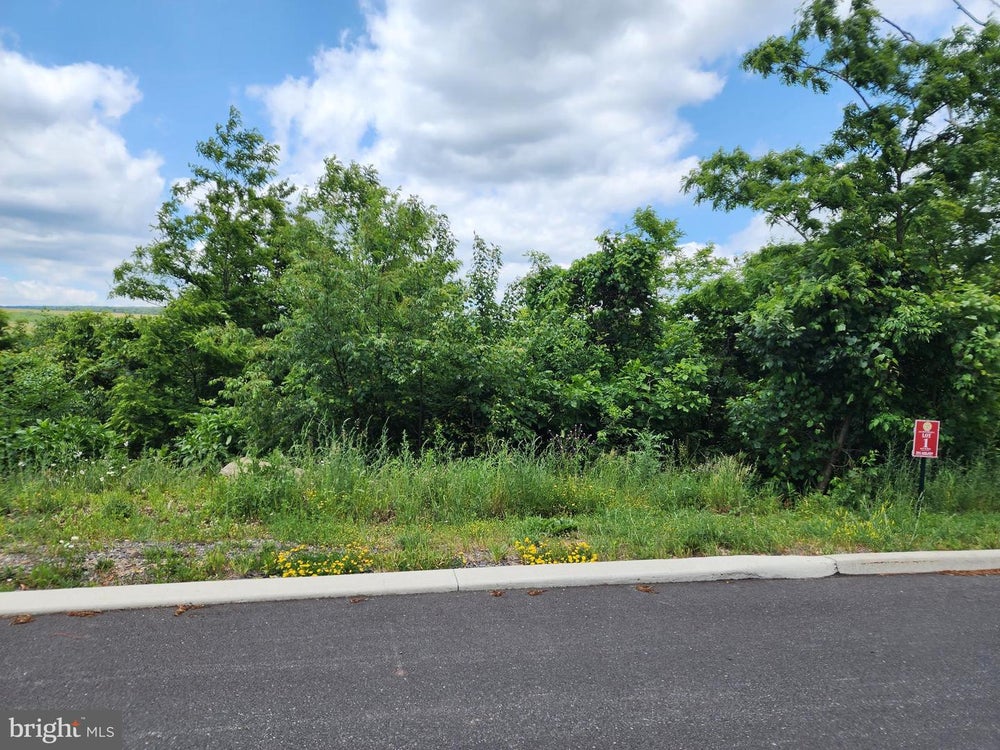 235 Lot 1 Redstone Ter, FROSTBURG, MD 21532 ERA