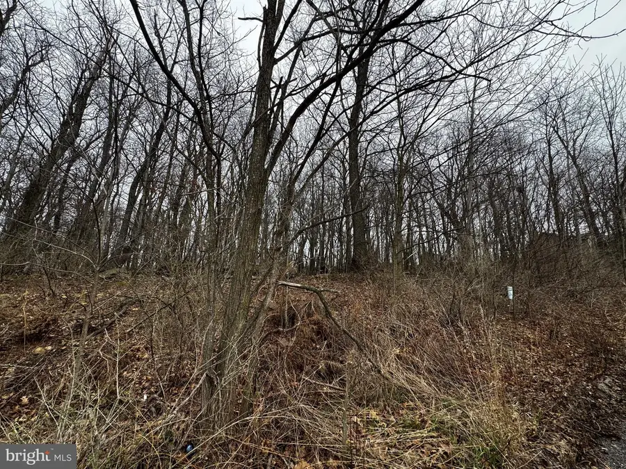 119 Braddock Hts, Frostburg, MD 21532 - #3