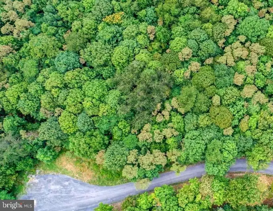 12305 Barbers Hill Rd, Frostburg, MD 21532 - Image #1