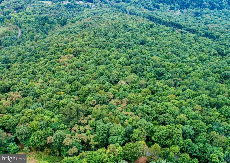 12305 Barbers Hill Rd, Frostburg, MD 21532 - Image #2