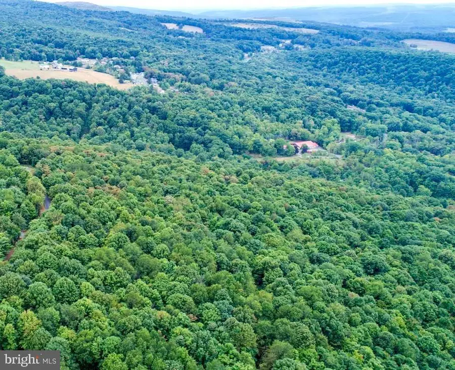 12305 Barbers Hill Rd, Frostburg, MD 21532 - Image #3