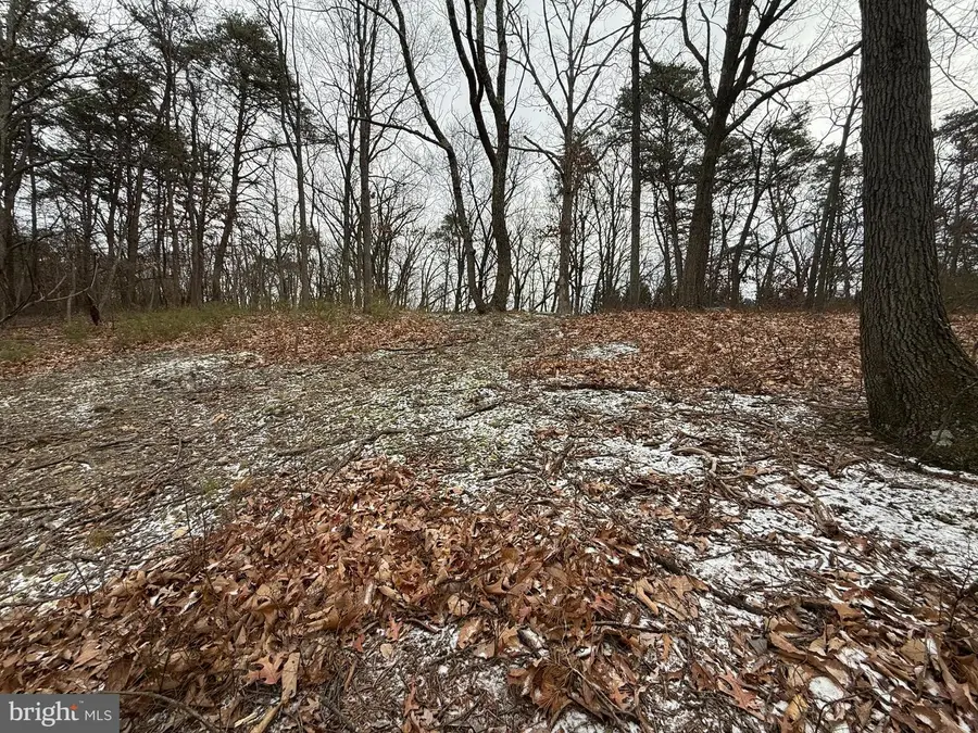 Oakwood St #lots 349-351, Cumberland, MD 21502 - Image #3