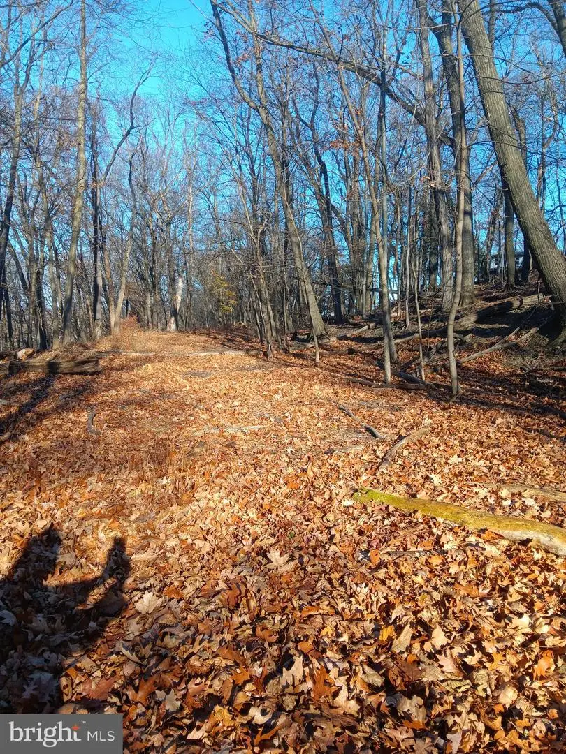 Gray Ave, Cumberland, MD 21502 - Image #2