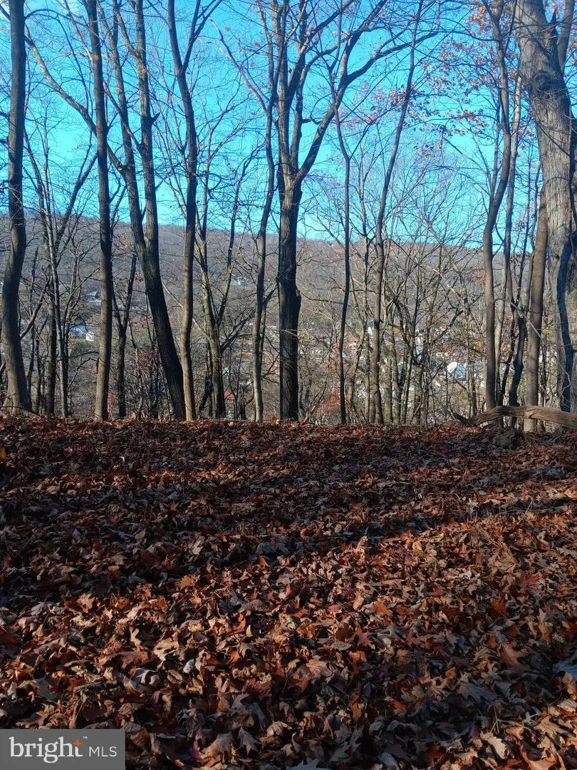 Gray Ave, Cumberland, MD 21502 - Image #3