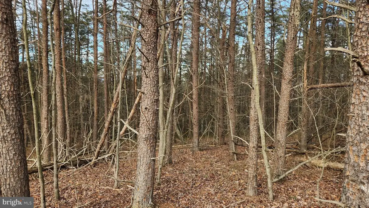 11901 Price Rd Ne, Little Orleans, MD 21766 - Image #1