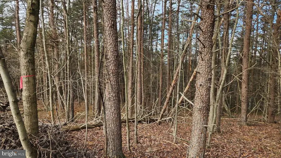 11901 Price Rd Ne, Little Orleans, MD 21766 - Image #3