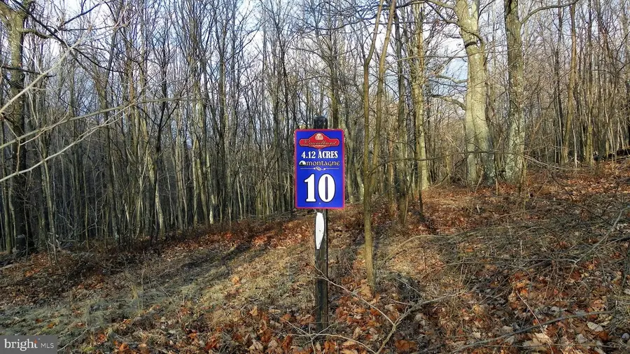 16326 Laurelhurst Blvd, Cresaptown, MD 21502 - Image #3