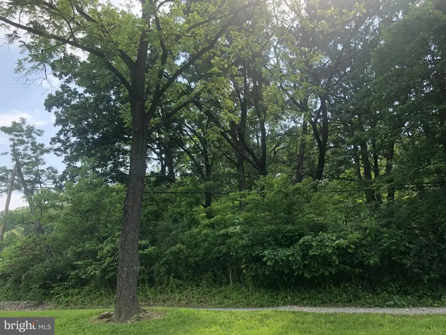 Mckenzie Rd, 29 La Vale, MD 21502 - #3