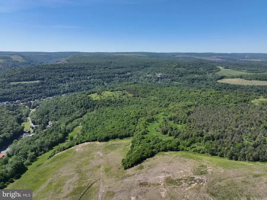 Pine Hill Rd, Lonaconing, MD 21539 - #3