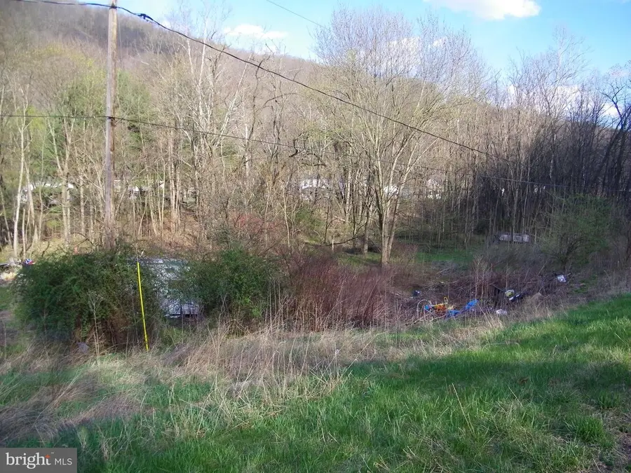 Route 36 Rd, Westernport, MD 21562 - #3