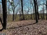 Queens Point Rd, McCoole, MD 21562 - #3