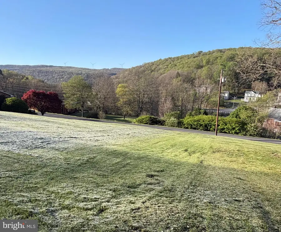Scrubridge Rd, Eckhart Mines, MD 21528 - #2